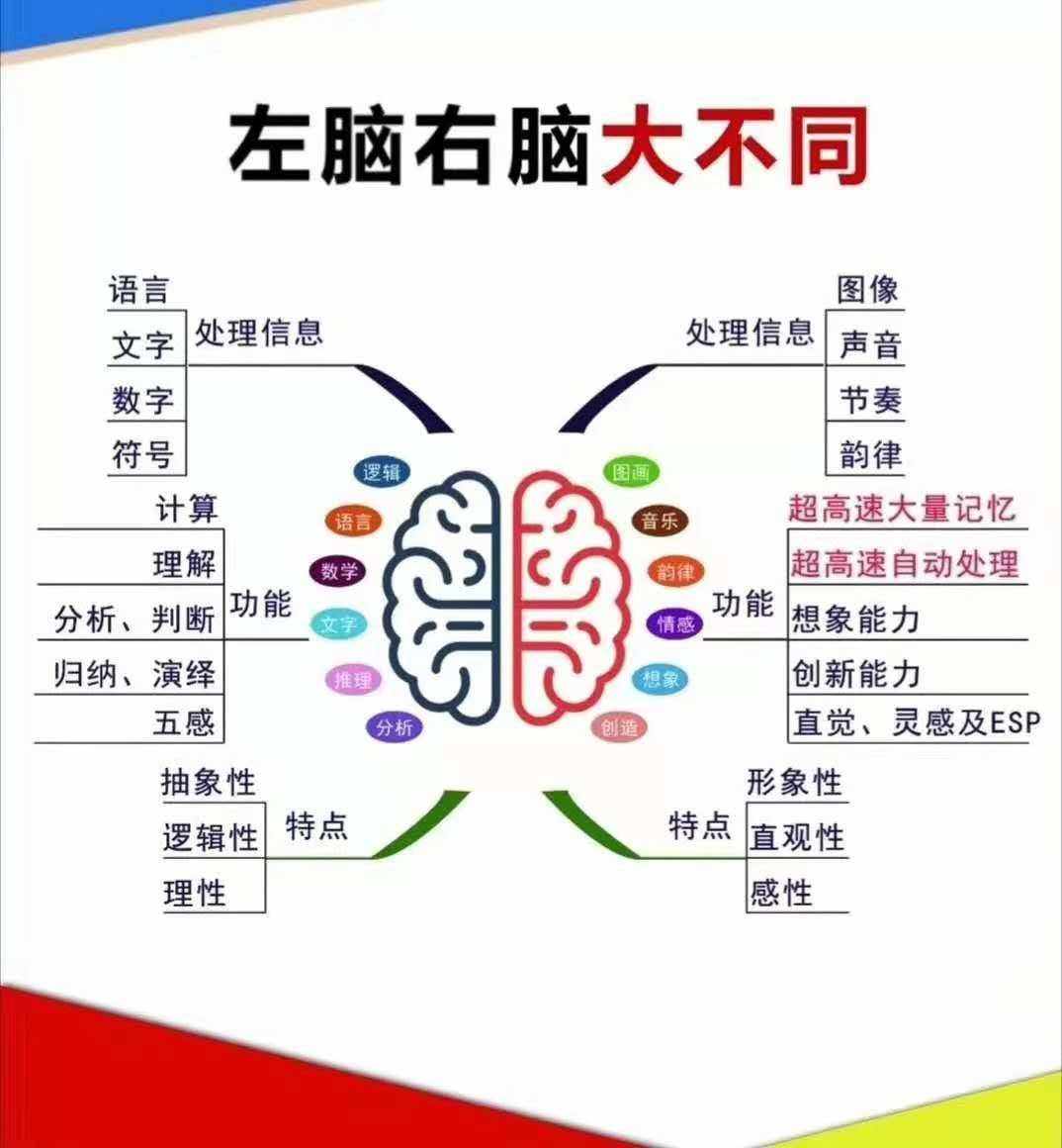 皇家迪智尼 I 你知道嗎？孩子的智商高低受到許多因素的影響！