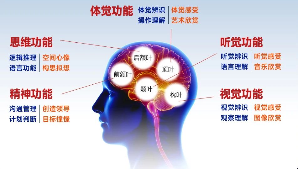 皇家迪智尼 I 指紋天賦測評適用哪些人群？