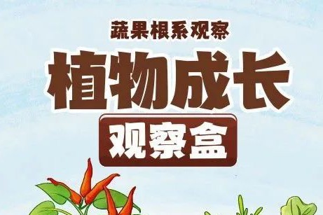 皇家迪智尼 I 兒童益智手工家庭園藝，爆款類手工種植攻略！